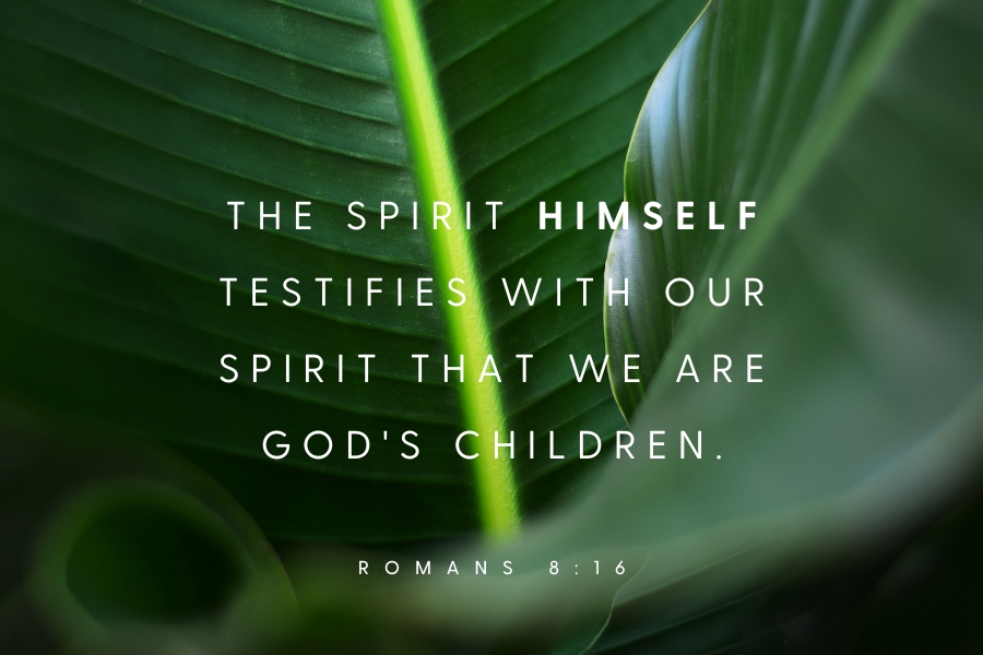Romans 8:16